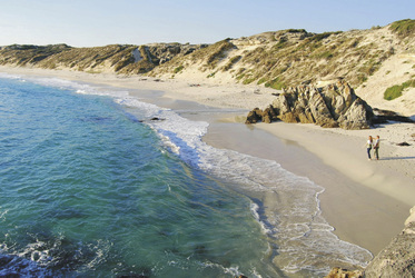 Strandspaziergänge, ©Grootbos Private Nature Reserve