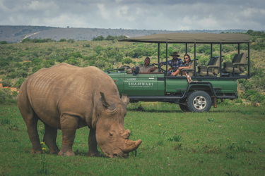 Auf Pirschfahrt, ©Shamwari Private Game Reserve