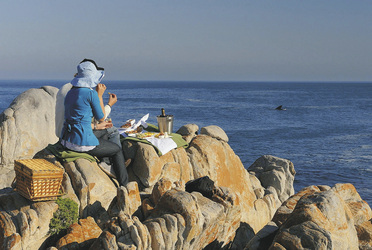 Walbeobachtung von Land, ©Grootbos Private Nature Reserve