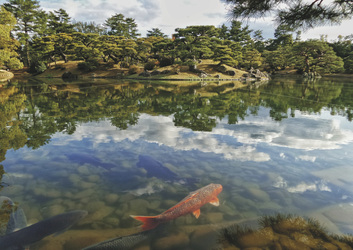 Japanischer Garten mit Koi-Teich in Takamatsu , ©FranckinJapan, pixabay.com