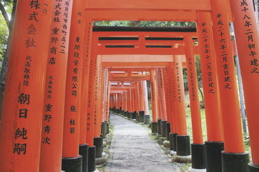 Fushimi Inari Schrein in Kyoto, ©StockSnap, pixabay.com