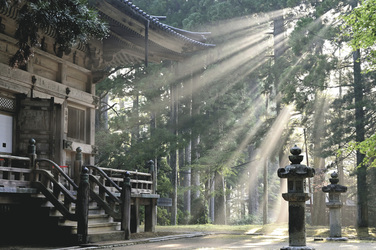 Tempelberg Koya-san - Tempel im Wald , ©yamabon, pixabay.com