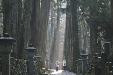 Tempelberg Koya-san, ©yamabon, pixabay.com