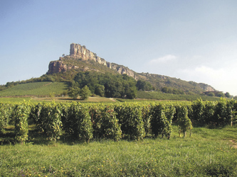 Felsen von Solutré