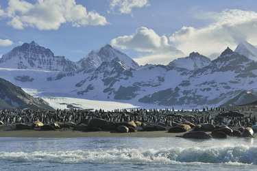 ©Martin van Lokven-Oceanwide Expedition