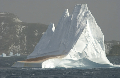 ©Hadoram Shirihai-Oceanwide Expedition