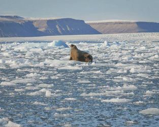 ©Quark Expeditions, Acaia Johnson