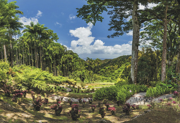 Jardin de Balata Martinique, ©© A. Petton CMT