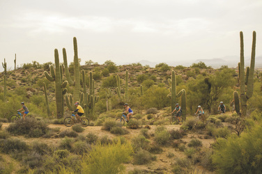 Mountainbike Tour, ©Arizona Outback Adventures