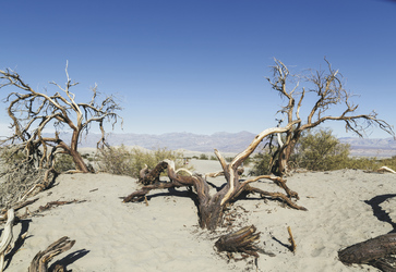 Sanddünen im Death Valley NP - c Visit California/Carol Highsmith, ©Visit California/Carol Highsmith