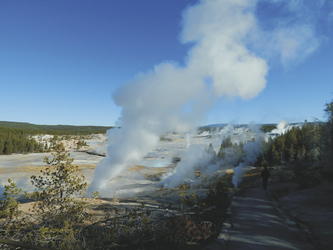 Norris Geysir, Yellowstone Nationalpark - ©TravelDreamWest, ©TravelDreamWest